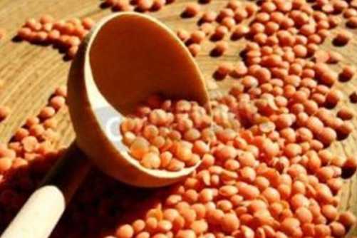 兵豆做法，试试兵豆的这几种做法美味又营养